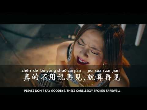 Learn Chinese Through Songs【G.E.M. : 再见 (Zài Jiàn | Goodbye) with English + Pinyin】