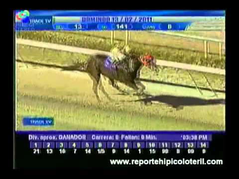 Resumen La Rinconada Domingo 13/02/2011