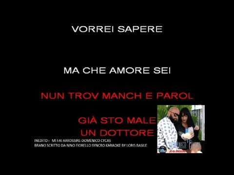 MI FAI ARROSSIRE DOMENICO CYCAS KARAOKE