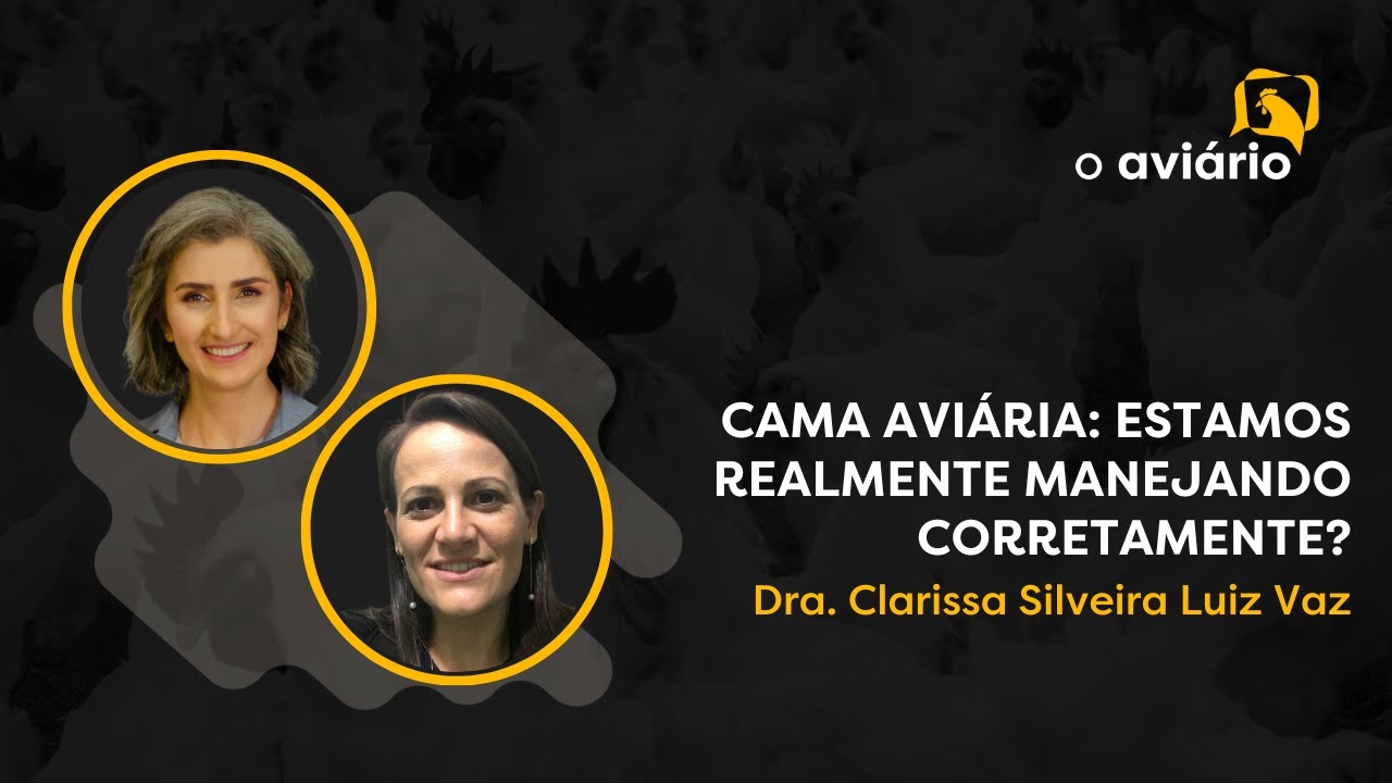 Dra. Clarissa Vaz: Manejo da Cama Aviária | Ep. 21
