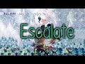 Escalate (Nier Automata) - French Cover【Lyrae】