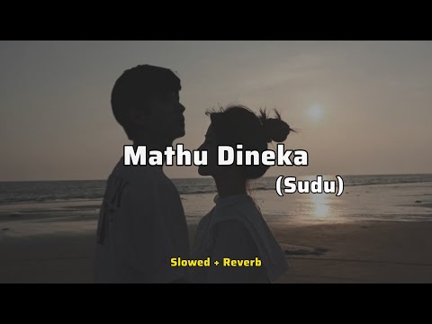 Mathu Dineka(Sudu)|මතු දිනෙක(සුදු)|Mood Music LK|Slowed+Reverb
