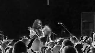 Wilson Windows Down! live