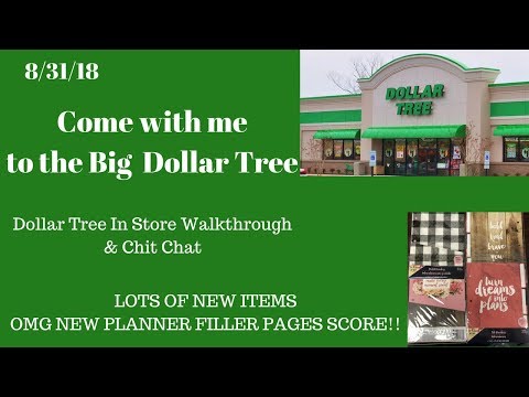 Come with me to Dollar Tree 🌳 8/31/18~Lots of New Items Planner pages Fall Decor, Stickers & More 😍 Video