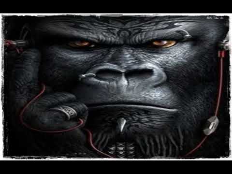 DJ TER - DON T STOP THE BEAT.   BŸ PÂRÂKÂ ® 🎧