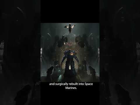 WARHAMMER 40K UNIVERSE EXPLAINED IN 60 SECONDS  #Warhammer40k #WarhammerLore #LoreAxe #ChaosGods