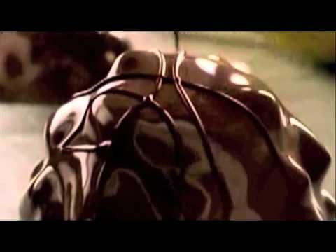 download lagu mp3 mp4 Chocolatier Dark Decadence, download lagu Chocolatier Dark Decadence gratis, unduh video klip Chocolatier Dark Decadence