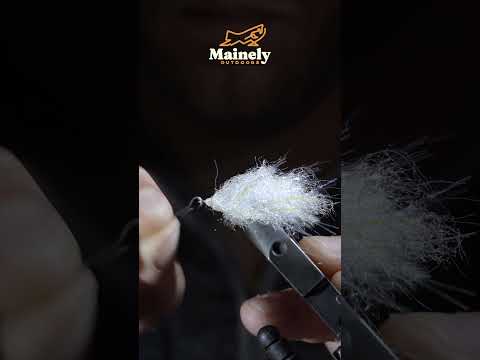 THIS Fly is a GAME CHANGER!!