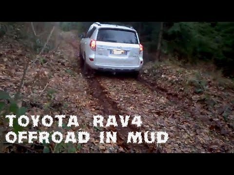 Toyota Rav4 - Offroad in Mud
