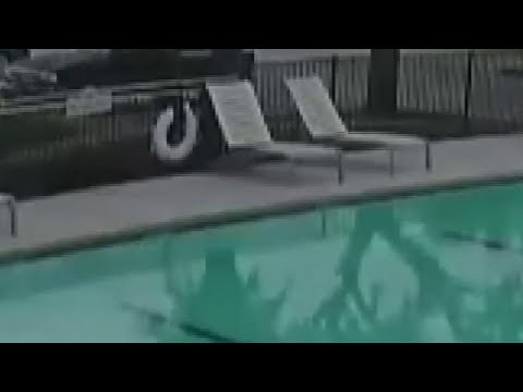 Local 4 News at 4 -- June 25, 2019