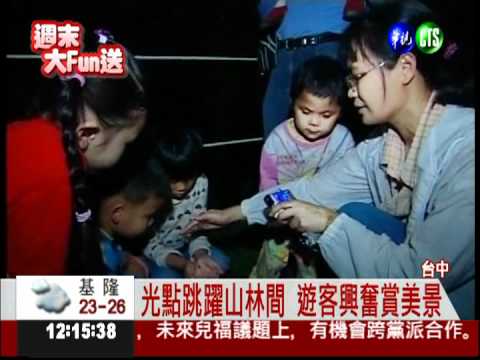 一閃一閃亮晶晶! 螢火蟲大爆發