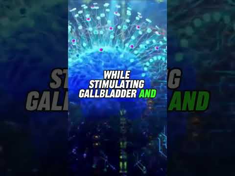 Cholecystokinin:  the gut hormone that increases during a migraine    #shorts