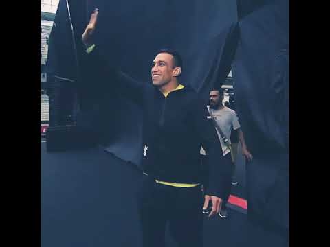 UFC 198: Fabricio Werdum VS Stipe Miocic (UFC Highlights)