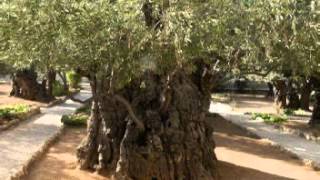 MENSAJE:ESFUERZATE Y SE VALIENTE..DGO.05-01-2014--SOLO AUDIO