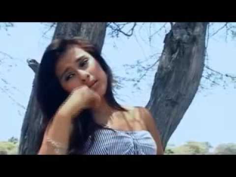 perder o perdonar padre aicardo