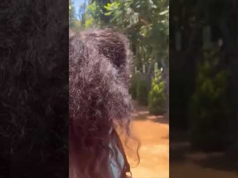 Ithulaam Yenna Pa Semma Super Ha Iruku 🤩 #animals #zoo #travel #youtube #viralvideo