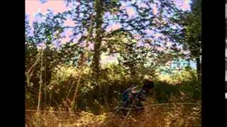 AdmireR Music Video for SwitchBLade Symphony - WAllflower