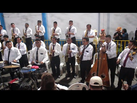 ENGREIDOS INTERGALÁCTICOS DEL PERÚ MULIZA Y HUAYNITOS DE ORO