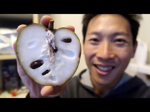 Cherimoya Taste Test aka Custard Apple, Chirimoya