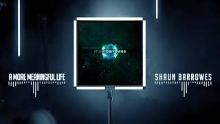 Shaun Barrowes - A More Meaningful Life (Official Audio)