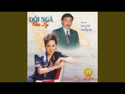 Mũi tên tình ái - Trường Hải