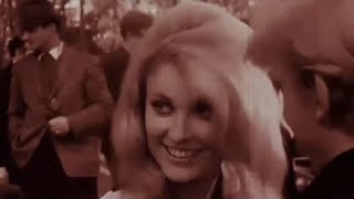 Chicago Transit Authority - South California Purples (1969)
