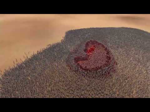 THE 300 SPARTANS VS 100.000X ZOMBIES    Ultimate Epic Battle Simulator 2