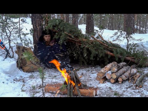 14 Days of Survival in The Forest Without a Tent | Far From People in The Cold