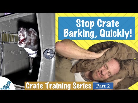 YouTube video about: How to muffle dog barking in apartment?