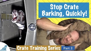 How To Stop Your Dog From Barking In Their Crate At Night