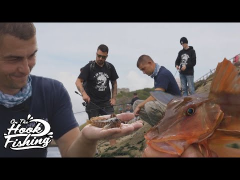 Mastering Light Rock Fishing: LRF Tips and Techniques