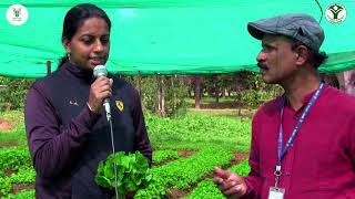 ICAR-IIHR Centella Asiatica