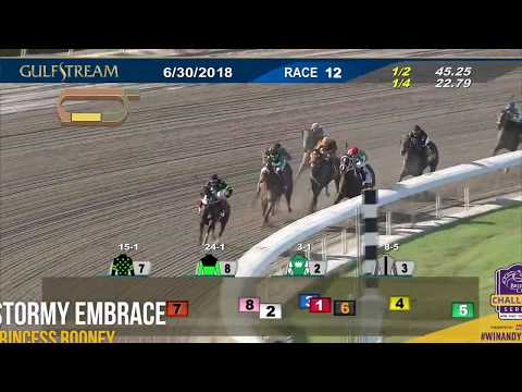 2018 Princess Rooney - Stormy Embrace