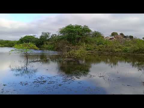 LINDO AÇUDE NO SERTÃO EM SALGUEIRO PERNAMBUCO 