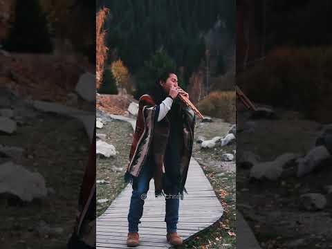 ATIPAK CHRISTIAN - Imbaburapak | Andean Music for Dancing #musicaandina #sanjuanito #zampoña