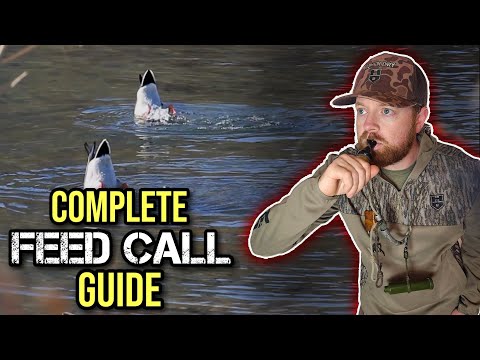 Feed Call Masterclass: Everything You Need To Know (Duck Calling Tips)