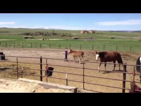 Gunner baby is so sweet!