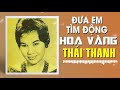 THÁI THANH - ĐƯA EM TÌM ĐỘNG HOA VÀNG (PHẠM DUY)
