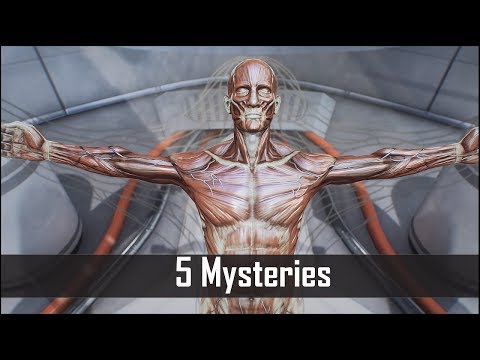 Fallout 4: 5 Spooky Mysteries You May Have Missed in the Commonwealth – Fallout 4 Secrets (Part 3)