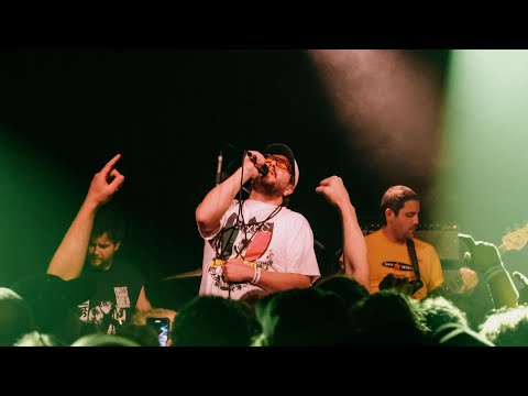 Daybed Records and BAD//DREEMS