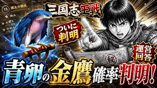 【三国志王戦】青卵から金鷹は出やすい？運営回答でついに判明！戦鷹の確率解説