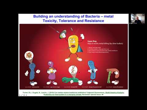 Using Bacteria to Manufacture Selenium and Tellurium Nanomaterials