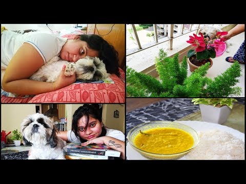 A not so Busy Day Vlog | Why Am I feeling Confused | Preparing for Exam | Sharing Yummy Recipe Video