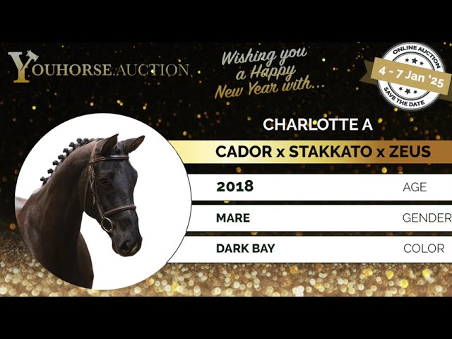 Charlotte A Showvideo