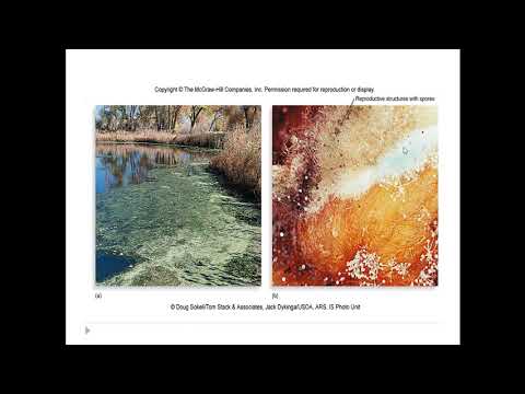 Microbiology Ch 1 by Cowan