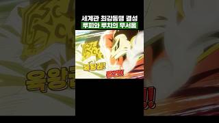 원피스) 세계관 최강동맹 루피와 루치의 무서움