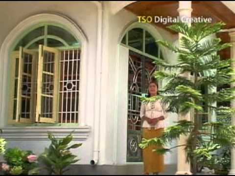 ZIANGKIM HI BAWIPAI TA {Par Te}