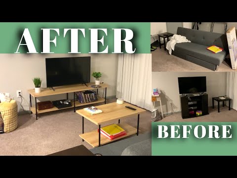 Living Room Upgrade, New Cat Tree, & Cops | Week Vlog
