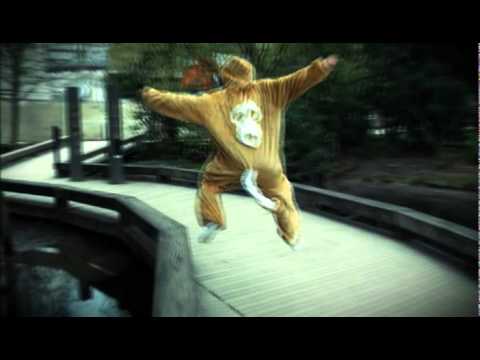 Yo Modeselektor Have you seen this monkey?