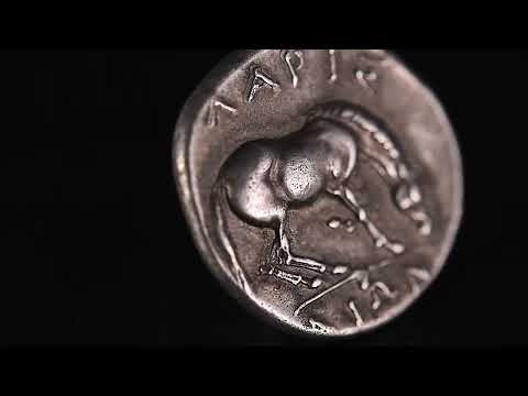 Coin, Thessaly, Drachm, 365-356 BC, Larissa, AU(55-58), Silver, HGC:4-454